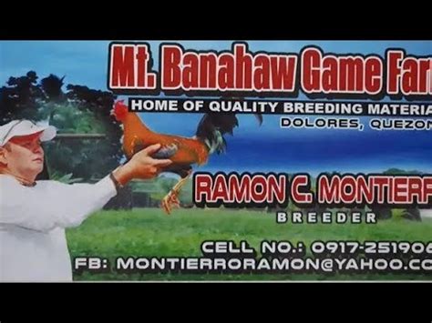ramon chibana monteiro|Perfection Roundhead .
